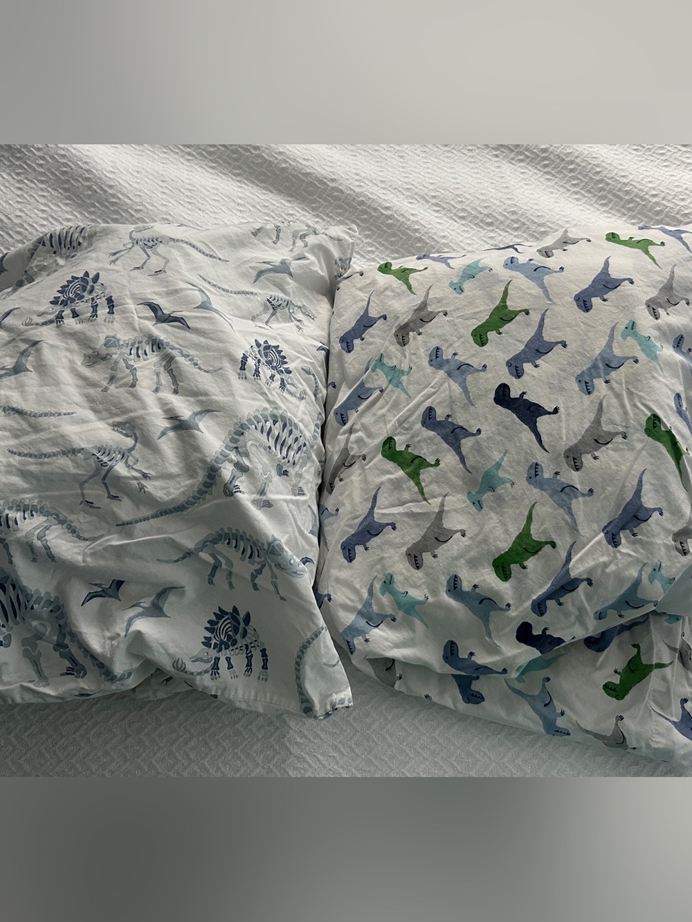 2 Pottery Barn Kids Dinosaur Sheet Sets